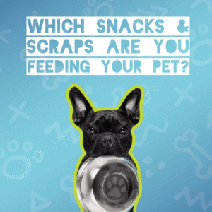 Which Snacks and Scraps are you feeding your pet