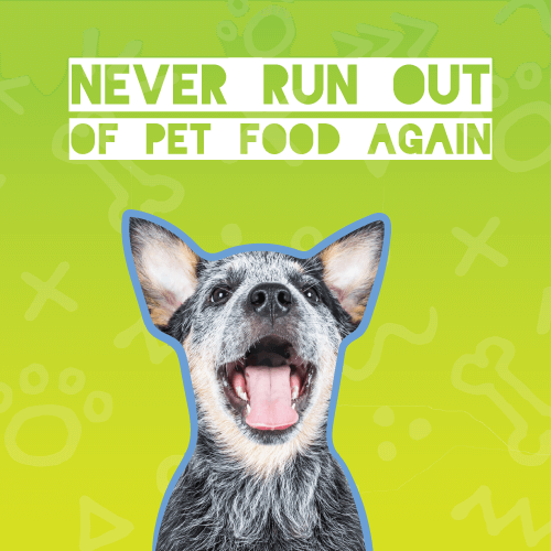 Never Run Out of Pet Food Again with AutoShip on Vetsource