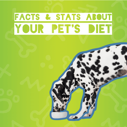 Facts and stats about your pet's diet