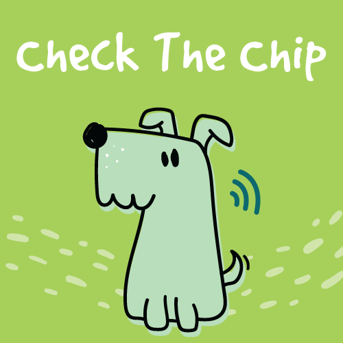 Check The Chip: Get your pet microchipped at Encanto Pet Clinic