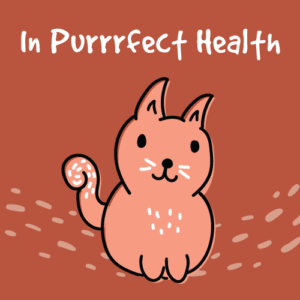 Book Your Cat's Annual Exam at Encanto Pet Clinic