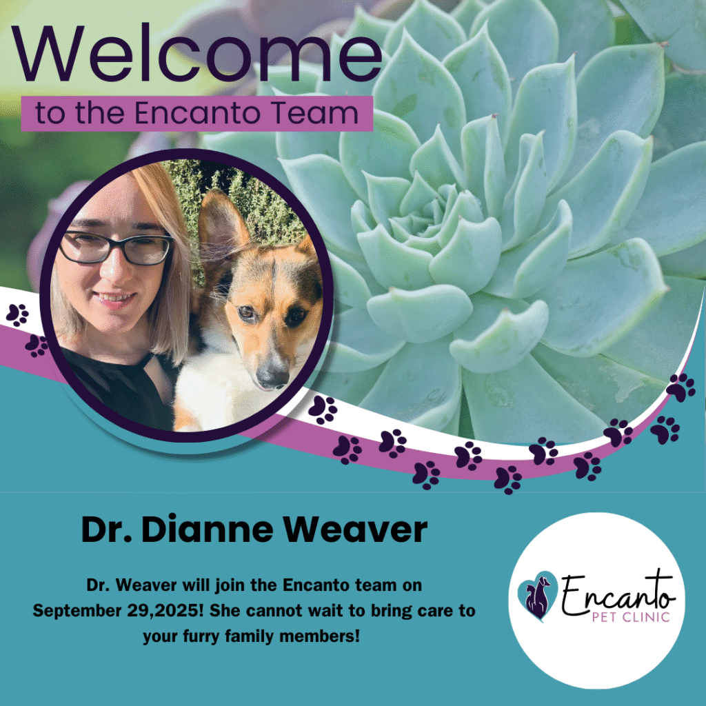 Welcome Dr. Weaver Flyer